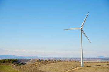 Wind turbine generator for renewable electricity production