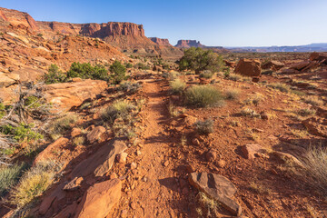 hiking the murphy trail loop in the island in the sky in canyonlands national park, usa