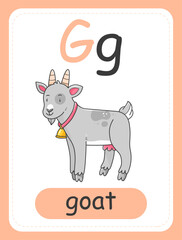 Alphabet card for children with the letter G and a goat. Educational card for kids. The word goat, the English alphabet. Vector illustration.