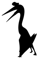 Pterodactyl silhouette. Isolated flying dinosaur. Jurassic animal.