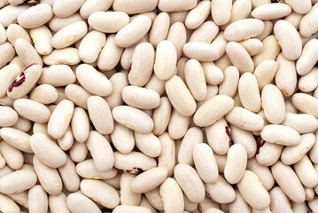 Background of white beans. Bunch of beans on white background