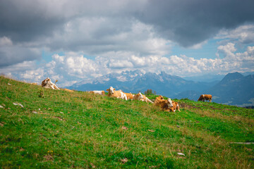 Fototapeta na wymiar Landscape photography of Austria Nature