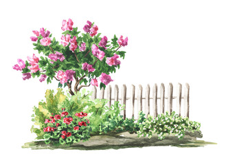 Garden blooming flower bed, Landscape design, Hand drawn watercolor illustration isolated on white background - obrazy, fototapety, plakaty