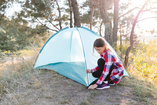 A cute teenage girl pitches a tent in the middle of a pine forest. The concept of summer active recreation, travel and adventure, camping
