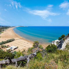 Summer Lido di Portonuovo Adriatic sea beach view with big old dry tree on slope (Vieste, Gargano...