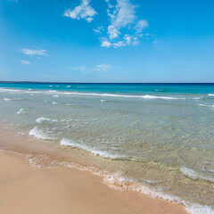Fototapeta na wymiar Beautiful sea surf, summer seascape view from sandy beach.