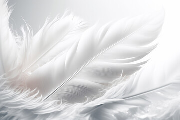 white feathers background - AI generative