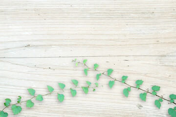 木目背景とグリーン