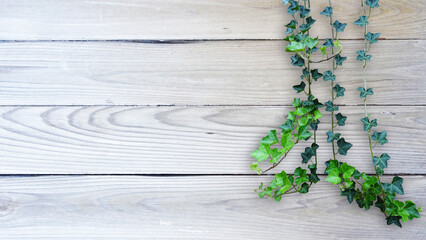 木目背景とグリーン