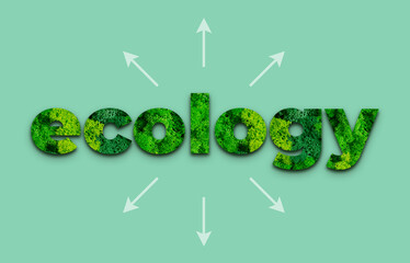 Green plant and text as a symbol of protection of nature. Ecology and world sustainable environment concept. Conceptual image. Earth day.