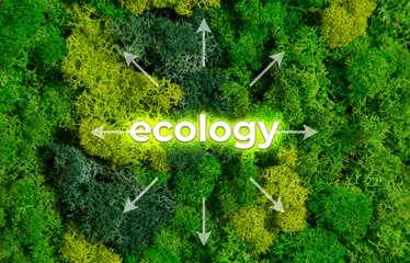 Green plant and text as a symbol of protection of nature. Ecology and world sustainable environment concept. Conceptual image. Earth day.