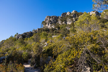Cirque de Mourèze, gigantesque chaos dolomitique au pied du Mont Liausson