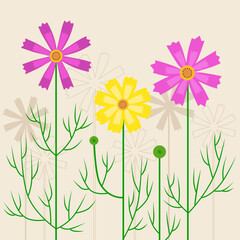 Cosmea floral composition. Illustration of the  cosmos flowers