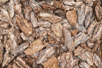 Surface texture from fragments of pine bark, background.