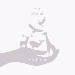 animals on the palm of hand