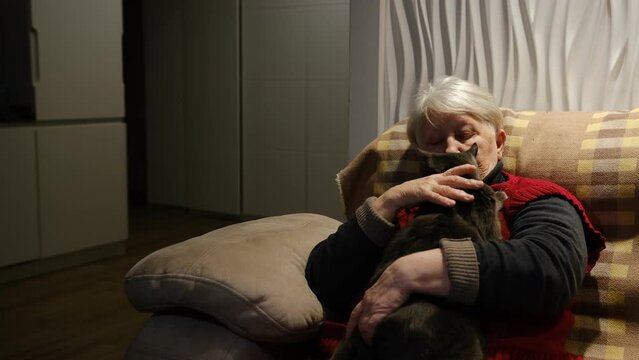 Close-up Of Grandmother Watching News On Television At Home. Senior woman in red clothes sitting on biege couch and watch TV with cat