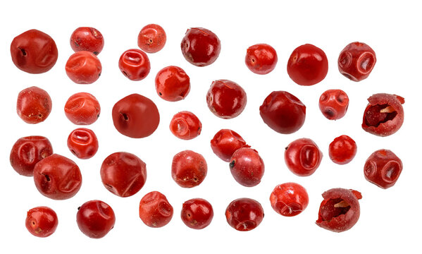 Red peppercorns isolated  