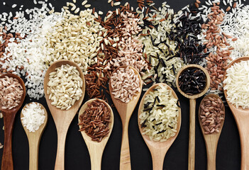 Colorful mix of rice varieties: red and brown, white and wild, black and parboiled, basmati and...