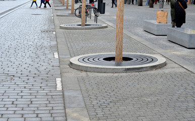trees planted in a large paved area of the pedestrian zone pavement need to breathe roots and therefore there are larger cracks between the blocks with gravel rainwater can soak up	, reed mat, bark