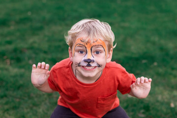 Cute little boy with his face painted