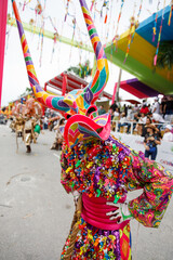A man in a carnival costume and mask.