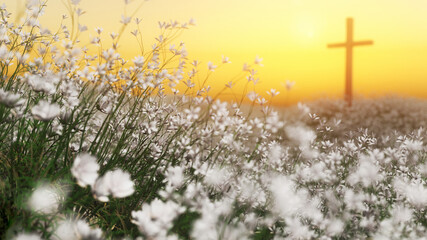 A single cross in a beautiful meadow of white wildflowers. - 571356457