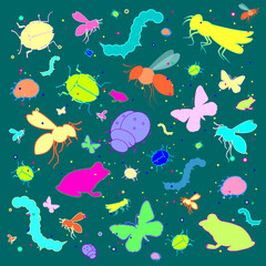 Insects, vector illustration. Butterfly, caterpillar, dragonfly, cricket, beetle, frog, bee, bumblebee, ladybug, bright colored multicolored