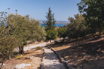 Fototapeta na wymiar Botanical Garden Baths of Aphrodite in Akamas National Forest on the Akamas Peninsula, Paphos District in Cyprus