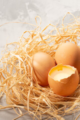 Brown eggs lay in brown paper that is made like a bird's nest. White background. High quality photo
