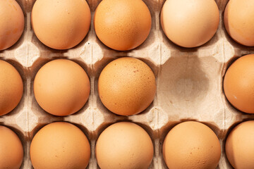 Chicken eggs in paper egg tray. High quality photo