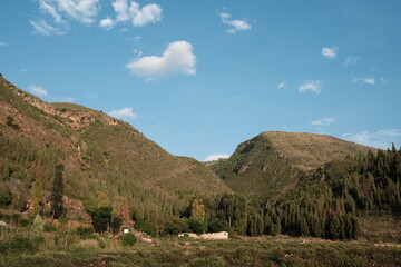 Fototapeta premium landscape with blue sky