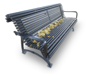 Park bench with autumn leaves