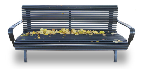 Park bench with autumn leaves