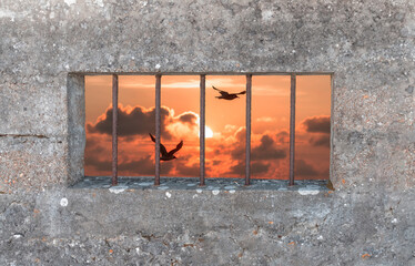 view of a sunset and birds in flight through prison bars