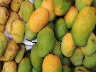 fresh mango display for sale at local store 