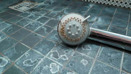 Dirty chrome shower head with limescale that should be cleaned and mold on tiles. Calcified shower...
