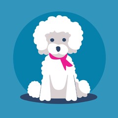 Poodle with a pink bandana