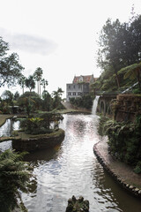 Fototapeta na wymiar Beautiful pond in Monte garden with waterfall, palm trees and palace on Madeira island. exotic park