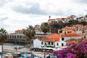 Vintage beautiful fishing village Camara de Lobos with houses, boats, palm trees and flowers on the ocean in Madeira