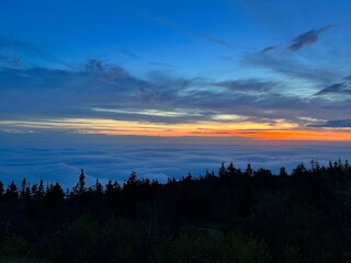 Obraz premium Early morning