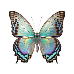 Colorful butterfly on transparent background PNG