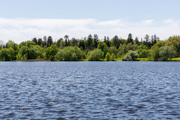 Panoramic view of lake and forest. Natural summer landscape.