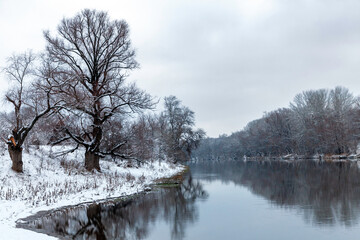 Scenic view of the winter snow-covered tall old trees on the banks of the river after a snowfall. Trees are reflected in the dark water.