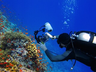 Scuba diver photographer and coral reef with fish. Diver swimming and photographing marine life in...