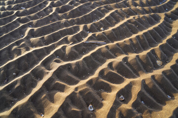 Sand waves in the beach
