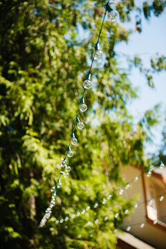 Detail of a string of lights hanging in the garden 
