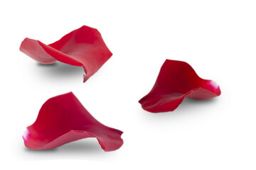 Set of red rose petals isolated on white background. - obrazy, fototapety, plakaty