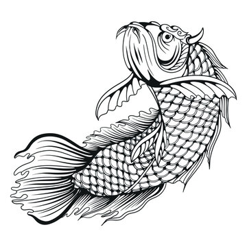Arowana Hand drawing illustration vector clip art