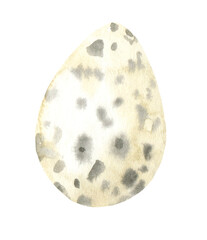 Watercolor quail egg Easter egg hunt illustration, hand-painted realistic drawing, clipart, decorative element. Nursery decor isolated for greeting card, poster, invitation,baby shower, frame, chaplet