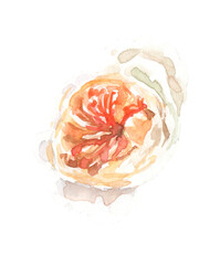 Watercolor white, peach, garden rose, peony illustration, spring flowers clipart. Create Floral frame, wreath, chaplet, wedding invitation, stationery, save the date, print              